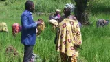 cote divoire agriculture yao laupez presidentpnp2a letat perd des milliards sans le savoir